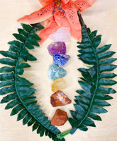 7 Chakra Raw Set - AurasAndGemstones