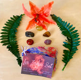 Leo Zodiac Set - AurasAndGemstones